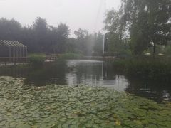 -成飞公园