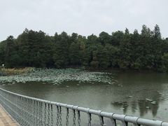 -东湖落雁景区