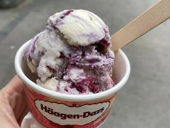 -哈根达斯(陆家浜路店)