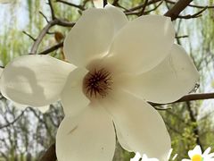 -大兴滨河森林公园