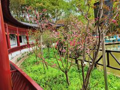 -南汇桃花村