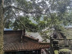 -都江堰普照寺