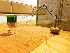 -柴务处·柴犬主题狗咖