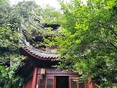 -韬光茶庵