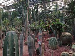 -呀路古热带植物园