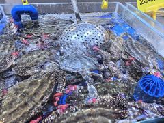 -君霖海鲜私房菜(春柳店)