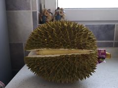 -东方鼎信农副产品交易中心