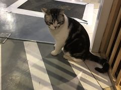 -小时光咖啡馆(开森度假森林店)