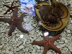 -泸州欢乐派海滩公园