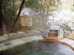-河北霸州茗汤日月潭温泉