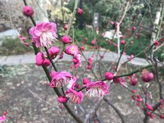 -鲁迅公园-垂钓中心