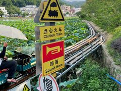 -红山村