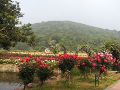 -龙寺生态园