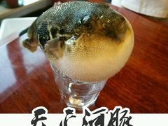 -天正河鲀·河豚亭(大连店)