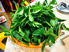 -一煲鸽