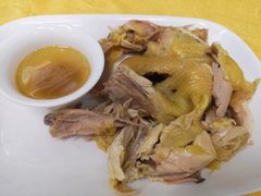 -巫记鸡饭店
