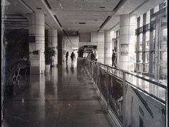 -上海旅游集散中心(万体站)