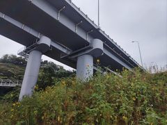 -星海湾跨海大桥
