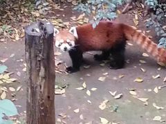 -昆明动物园