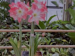 -华南国家植物园-售票处