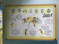 -上海昆虫博物馆