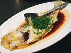 葱油大黄鱼-三利音·玖弄小鲜(浦东嘉里城店)