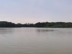 -海珠湖公园