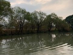 -长兴太湖图影湿地文化园