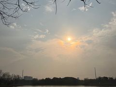 -九科绿洲