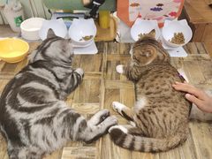 -小时光咖啡馆(北锣鼓巷店)