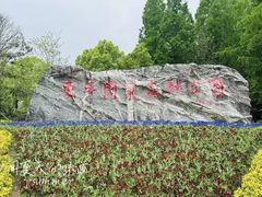 -东平国家森林公园