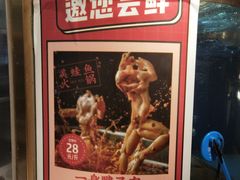-蜀滋香鲜鱼美蛙火锅(339店)