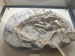-辽宁古生物博物馆