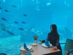 窗边景观位-海棠湾洲际-涛·海底餐厅·美人鱼·自助餐·海底隧道