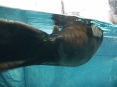 -福州罗源湾海洋世界旅游区