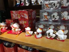 -猫咪博物馆(顶澳仔猫街店)