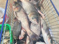 -光明食品集团有限公司