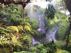 -Chom Cafe and Restaurant