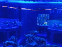 -上和臻品中国菜(花园街店)