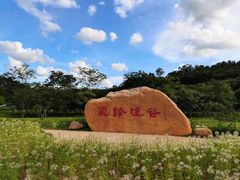 -梧桐山风景名胜区