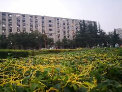 -四川大学(望江校区)