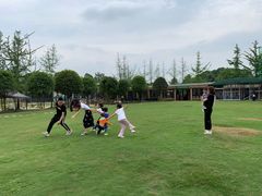 -洪湖家庭农场·团建·露营·会议