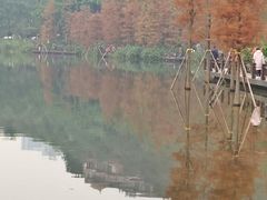 -重庆彩云湖湿地公园