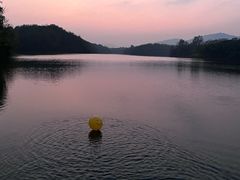 -佛手湖郊野公园