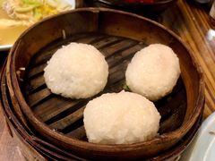 茨毛圆子-双塔老饭店