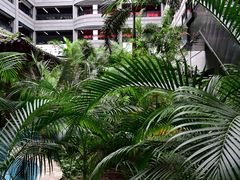 -黑龙江中医药大学附属第一医院