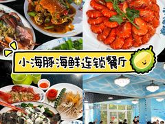 -亚龙湾热带天堂森林公园