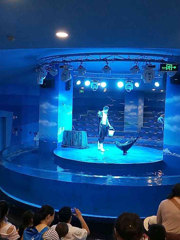 锦艺城海洋馆-"一般吧,半个小时转过来,没什么东西,门票.