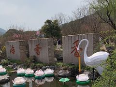 -香雪海