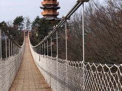 -塔云山
